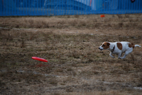 DSC_0924.jpg