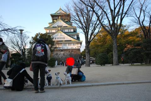 DSC_0951.jpg
