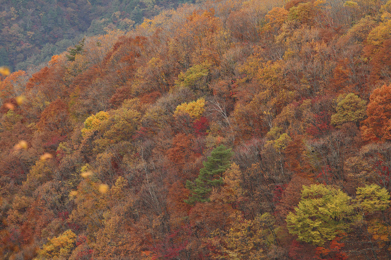 2011112603.jpg