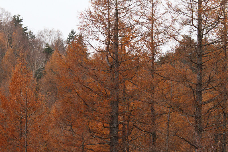 2011112606.jpg
