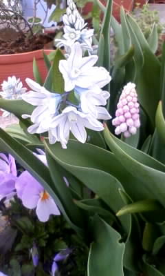 100420_164524.jpg