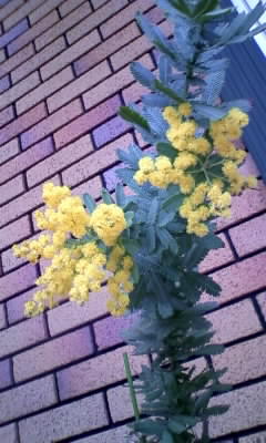 100420_172448.jpg