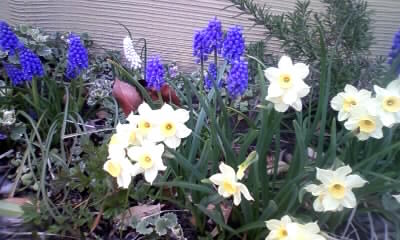 100421_145344.jpg