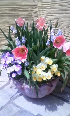 100505_113539.jpg