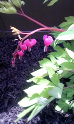 100505_114416.jpg