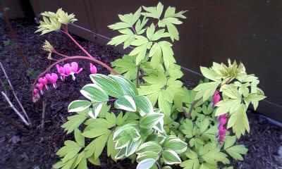 100506_130427.jpg