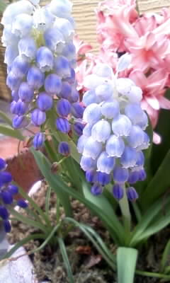 100506_130834.jpg
