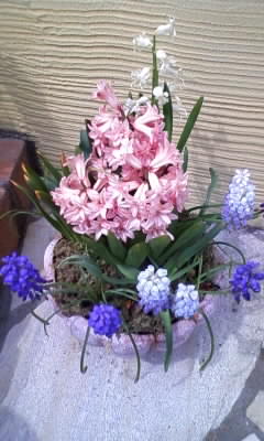 100506_130847.jpg