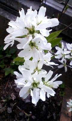 100506_130918.jpg