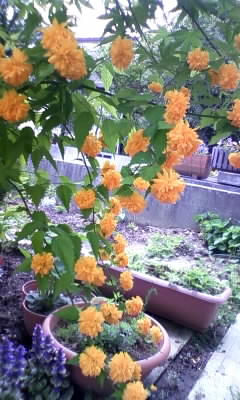 100519_114339.jpg