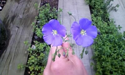 100527_105534.jpg