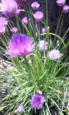 100602_115046.jpg