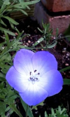 100608_133122.jpg