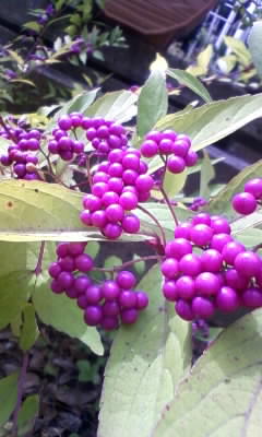 111019_103914.jpg