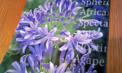 111019_155117.jpg