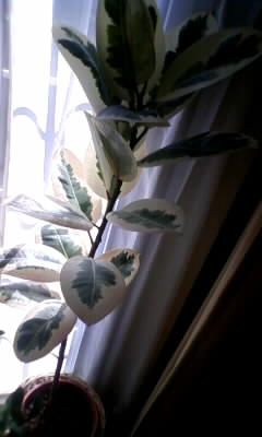 111020_123826.jpg