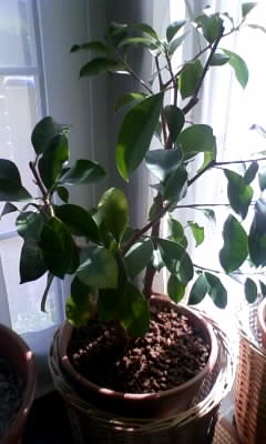 111020_124010.jpg