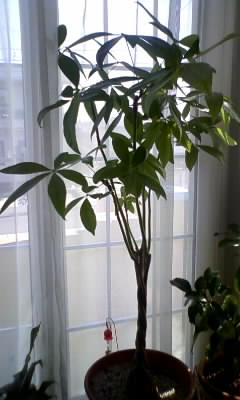111020_124058.jpg