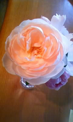 111025_102959.jpg