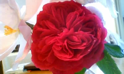 111025_103409.jpg