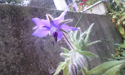 111025_104042.jpg