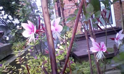 111025_104056.jpg