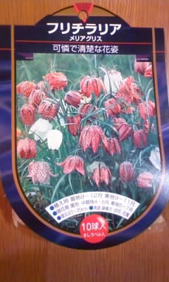 111028_000327.jpg
