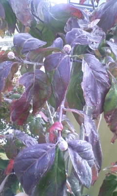 111028_111833.jpg