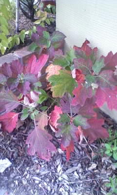111028_112037.jpg