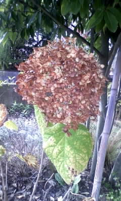 111028_112047.jpg
