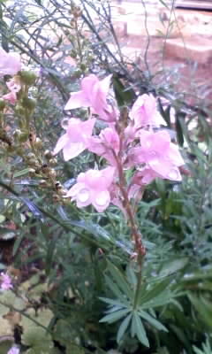 111028_113611.jpg
