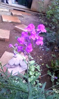111028_113639.jpg