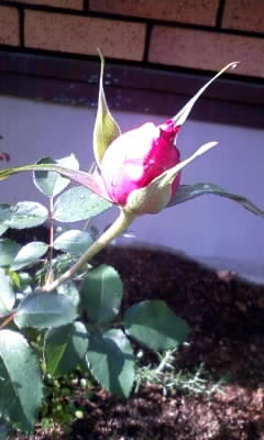 111101_131240.jpg