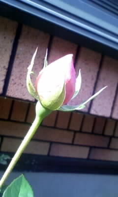 111101_131255.jpg