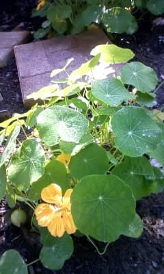 111102_093348.jpg