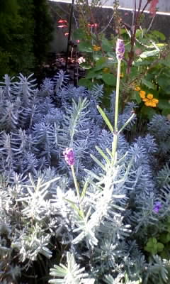 111102_093437.jpg