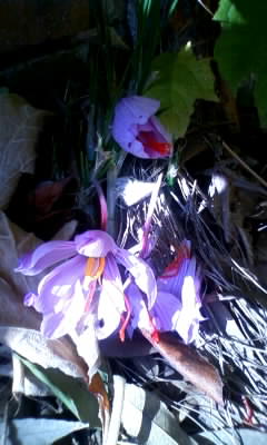 111102_093520.jpg
