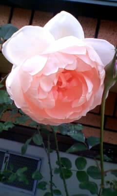 111107_133801.jpg