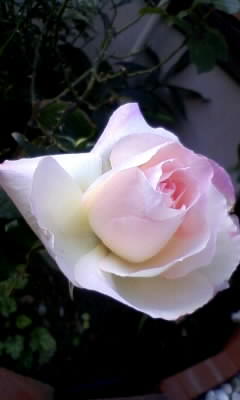111107_133908.jpg