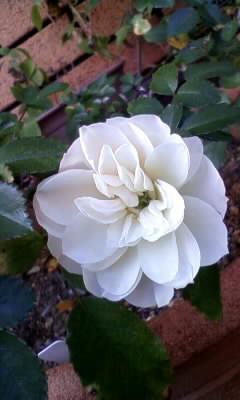 111107_134216.jpg