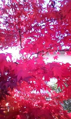 111115_110701.jpg