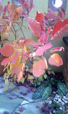 111129_132653.jpg