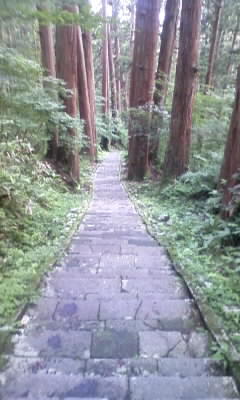 羽黒山1