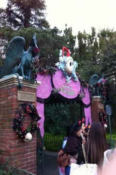 IMG_0937_convert_20111114203742.jpg