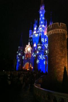 IMG_0950_convert_20111114203959.jpg