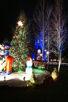 IMG_0999_convert_20111114204126.jpg