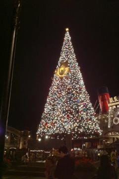 IMG_1153_convert_20111114225125.jpg
