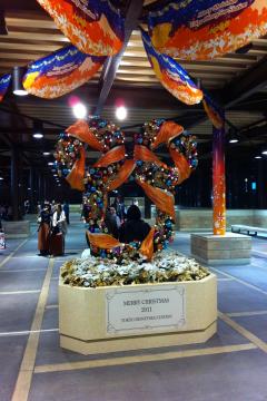 IMG_1169_convert_20111114225430.jpg