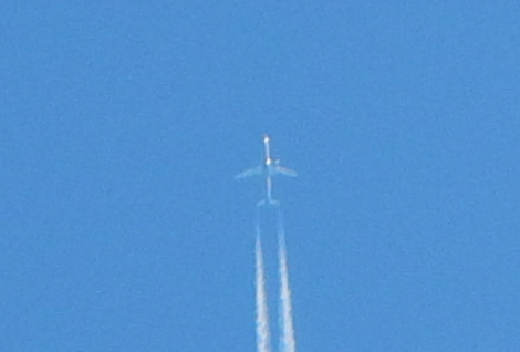 DSCN1675.jpg