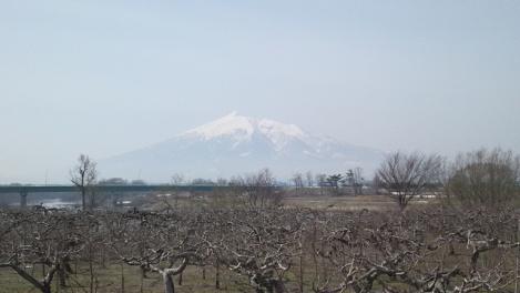 DSC_0010.jpg